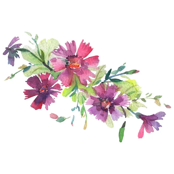 Bouquet floreale fiori botanici. Set sfondo acquerello. Mazzi isolati elemento illustrazione . — Foto Stock