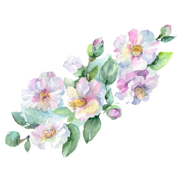 花束花植物の花。水彩画の背景セット。孤立した花束イラスト要素. — ストック写真