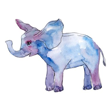 Yavru fil hayvanı izole edilmiş. Suluboya arka plan illüstrasyon seti. İzole fil illüstrasyon öğesi.