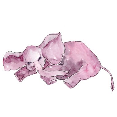 Yavru fil hayvanı izole edilmiş. Suluboya arka plan illüstrasyon seti. İzole fil illüstrasyon öğesi.