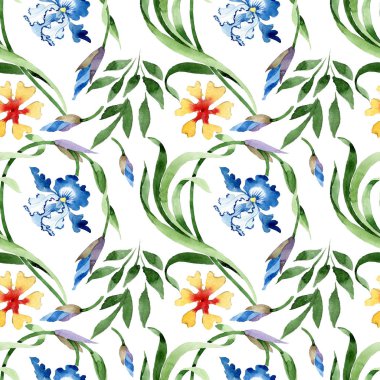 Süs Çiçek Botanik çiçekler. Suluboya arka plan illüstrasyon küme. Sorunsuz arka plan deseni.