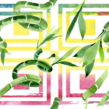 Yeşil Draceana Sanderiana. Suluboya arka plan illüstrasyon seti. Kesintisiz arka plan deseni.