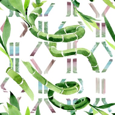 Yeşil Draceana Sanderiana. Suluboya arka plan illüstrasyon seti. Kesintisiz arka plan deseni.