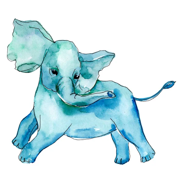 Bebê elefante animal isolado. Conjunto de ilustração de fundo aquarela. Elemento de ilustração elefante isolado . — Fotografia de Stock