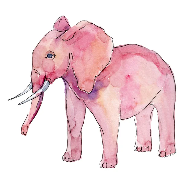 Baby elephant animal isolated. Watercolor background illustration set. Isolated elephant illustration element.