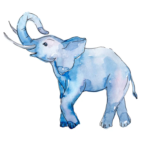 Дитячий слон тварини ізольовані. Набір ілюстрацій для акварельного фону. Ізольований елемент ілюстрації слона . — стокове фото