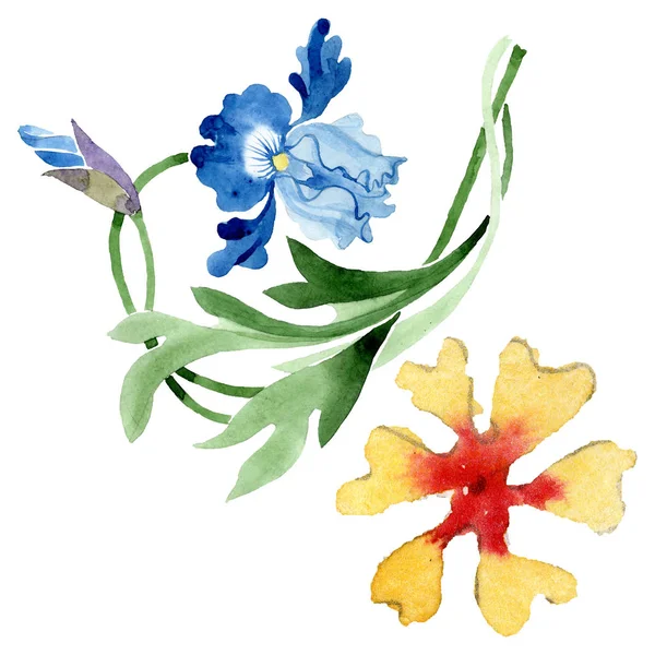 Ozdoba květinové botanické květiny. Vodný obrázek pozadí-barevný. Obrázek z izolovaného květu. — Stock fotografie