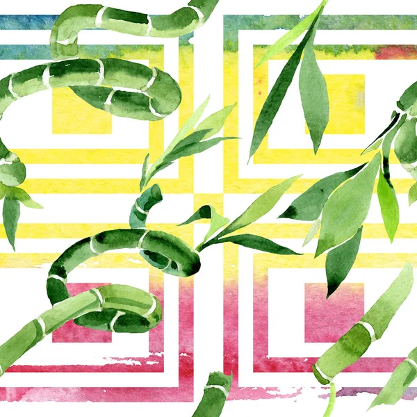 Yeşil Draceana Sanderiana. Suluboya arka plan illüstrasyon seti. Kesintisiz arka plan deseni.