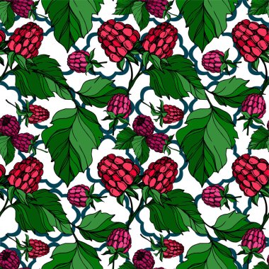 Vektör Ahududu sağlıklı gıda izole. Siyah ve beyaz oyulmuş mürekkep sanatı. Kesintisiz arka plan deseni.