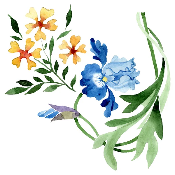 Süs çiçek botanik çiçekler. Suluboya arka plan illüstrasyon seti. İzole çiçek illüstrasyon elemanı.