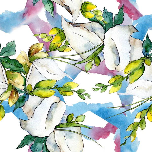 Buket çiçek botanik çiçekler. Suluboya arka plan illüstrasyon küme. Sorunsuz arka plan deseni.