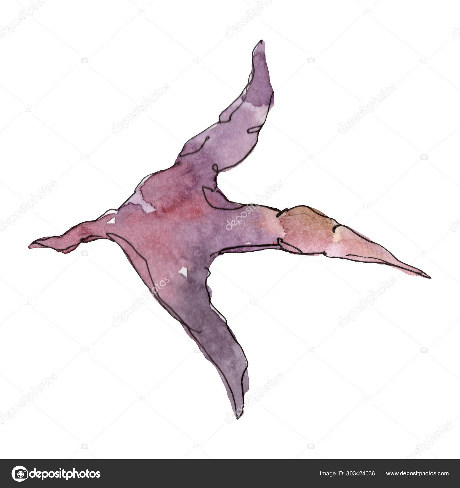コックフットプリントファームの鳥が孤立しました 水彩背景イラストセット 孤立した鶏のイラスト要素 ストック写真 C Mystocks コックフットプリントファームの鳥が孤立しました 水彩背景イラストセット 孤立した鶏のイラスト要素 ストック写真 C Mystocks