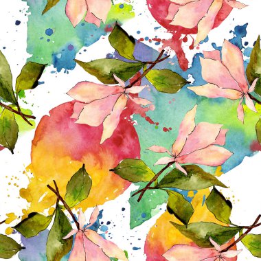 Pembe manolya çiçek botanik çiçekler. Suluboya arka plan illüstrasyon seti. Kesintisiz arka plan deseni.