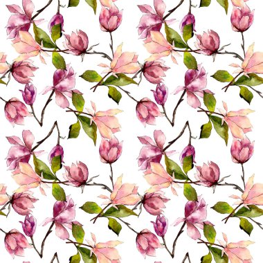 Pembe manolya çiçek botanik çiçekler. Suluboya arka plan illüstrasyon seti. Kesintisiz arka plan deseni.