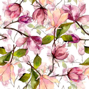 Pembe manolya çiçek botanik çiçekler. Suluboya arka plan illüstrasyon seti. Kesintisiz arka plan deseni.