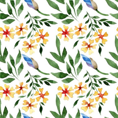 Süs Çiçek Botanik çiçekler. Suluboya arka plan illüstrasyon küme. Sorunsuz arka plan deseni.