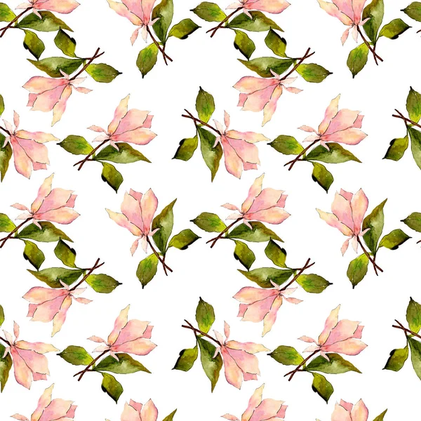 Flores botánicas florales de magnolia rosa. Conjunto de ilustración de fondo acuarela. Patrón de fondo sin costuras . —  Fotos de Stock
