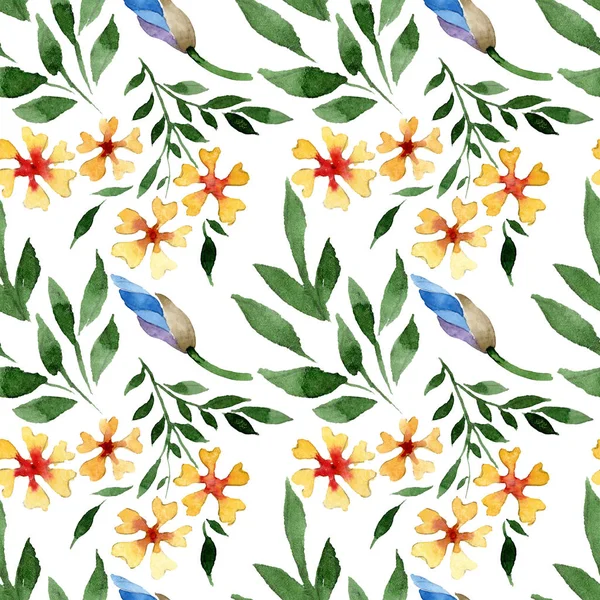 Süs Çiçek Botanik çiçekler. Suluboya arka plan illüstrasyon küme. Sorunsuz arka plan deseni.