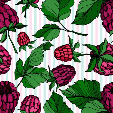 Vektör Ahududu sağlıklı gıda izole. Siyah ve beyaz oyulmuş mürekkep sanatı. Kesintisiz arka plan deseni.