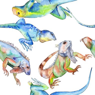 Egzotik iguana vahşi hayvan. Suluboya arka plan illüstrasyon seti. Kesintisiz arka plan deseni.