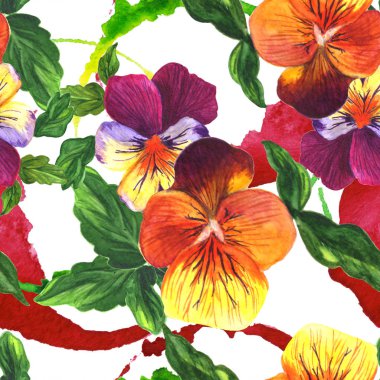 Viyola çiçek botanik çiçek. Suluboya arka plan illüstrasyon seti. Kesintisiz arka plan deseni.