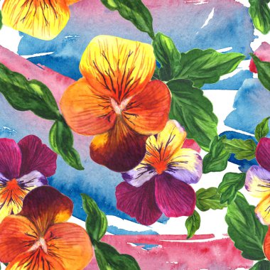 Viyola çiçek botanik çiçek. Suluboya arka plan illüstrasyon seti. Kesintisiz arka plan deseni.