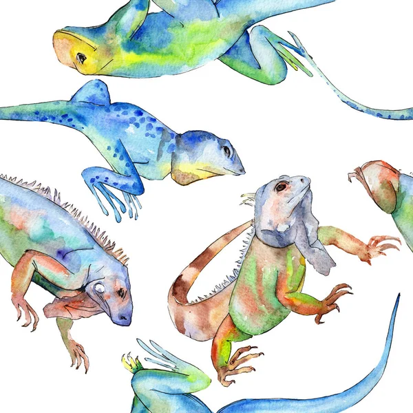 Egzotik iguana vahşi hayvan. Suluboya arka plan illüstrasyon seti. Kesintisiz arka plan deseni.