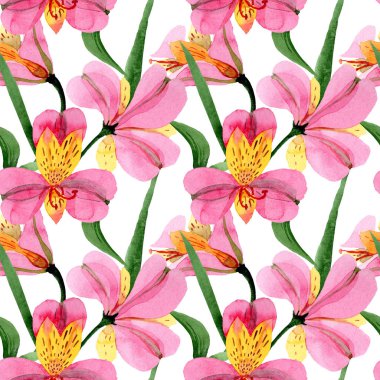 Pembe alstroemeria çiçek botanik çiçekler. Suluboya arka plan illüstrasyon seti. Kesintisiz arka plan deseni.