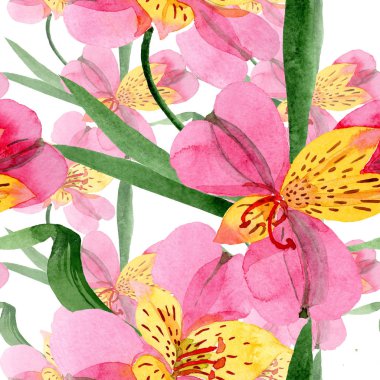 Pembe alstroemeria çiçek botanik çiçekler. Suluboya arka plan illüstrasyon seti. Kesintisiz arka plan deseni.