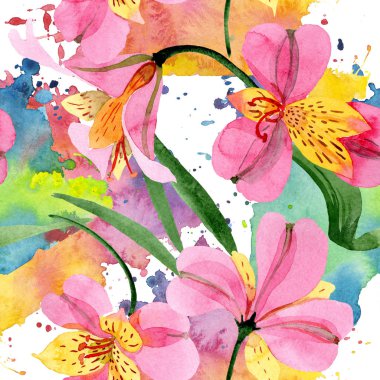Pembe alstroemeria çiçek botanik çiçekler. Suluboya arka plan illüstrasyon seti. Kesintisiz arka plan deseni.