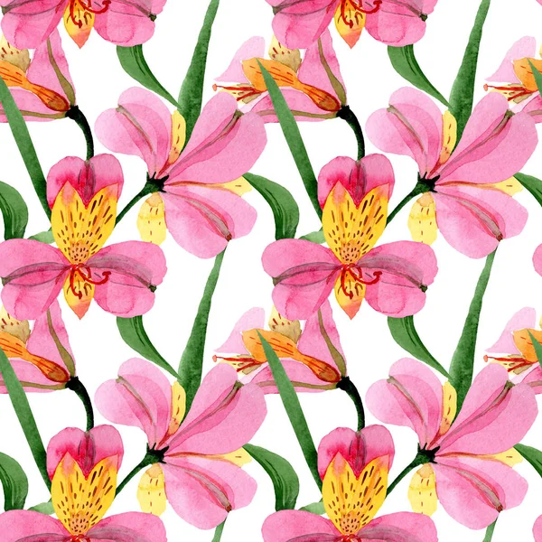 Рожеві альстромерії квіткові ботанічні квіти. Набір ілюстрацій для акварельного фону. Безшовний візерунок тла . — стокове фото