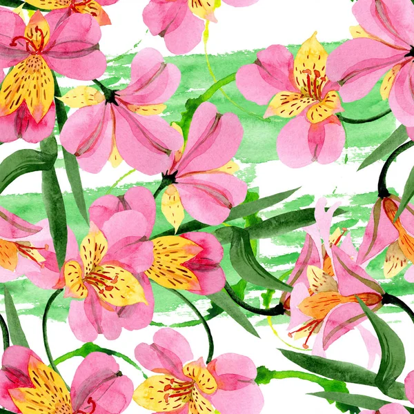 Ροζ Alstroemeria Floral λουλούδια βοτανικής. Σύνολο εικονογράφησης φόντου. Ομαλή μοτίβο φόντου. — Φωτογραφία Αρχείου
