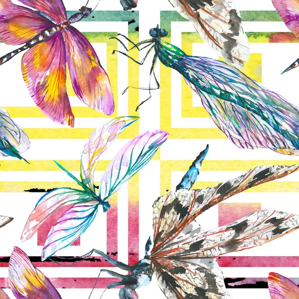 Inseto selvagem de libélula exótica. Conjunto de ilustração de fundo aquarela. Padrão de fundo sem costura . — Fotografia de Stock