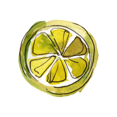 Suluboya tarzında taze meyve. Arka plan çizim seti. Suluboya çizim moda aquarelle izole.