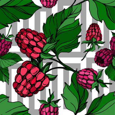 Vektör Ahududu sağlıklı gıda izole. Siyah ve beyaz oyulmuş mürekkep sanatı. Kesintisiz arka plan deseni.