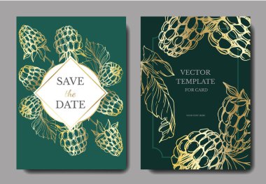 Vektör Ahududu sağlıklı gıda izole. Siyah ve beyaz oyulmuş mürekkep sanatı. Düğün arka plan kartı dekoratif sınır.