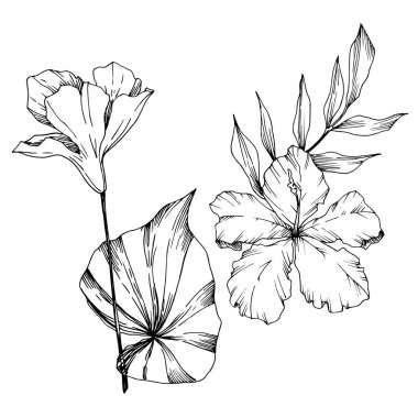 Vektör Tropikal çiçekler ve izole yaprakları. Siyah ve beyaz oyulmuş mürekkep sanatı. İzole bitki illüstrasyon elemanı.