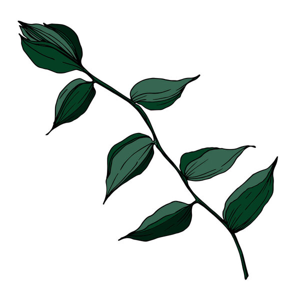 Vector Tropical flowers and leaves isolated. Black and white engraved ink art. Isolated plant illustration element.