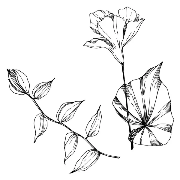 Vektör Tropikal çiçekler ve izole yaprakları. Siyah ve beyaz oyulmuş mürekkep sanatı. İzole bitki illüstrasyon elemanı. — Stok Vektör
