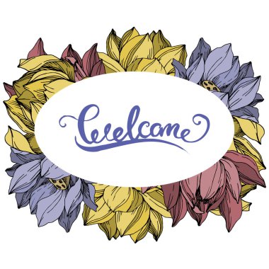Vektör Lotus çiçek botanik çiçekler. Siyah ve beyaz oyulmuş mürekkep sanatı. Çerçeve kenarlık süs karesi.