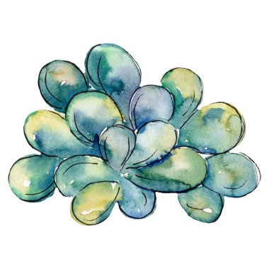 Yeşil su altı doğa mercan resifizole. Suluboya arka plan illüstrasyon seti.