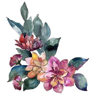 Buket çiçek botanik çiçekler. Suluboya arka plan seti. İzole buketleri illüstrasyon elemanı.