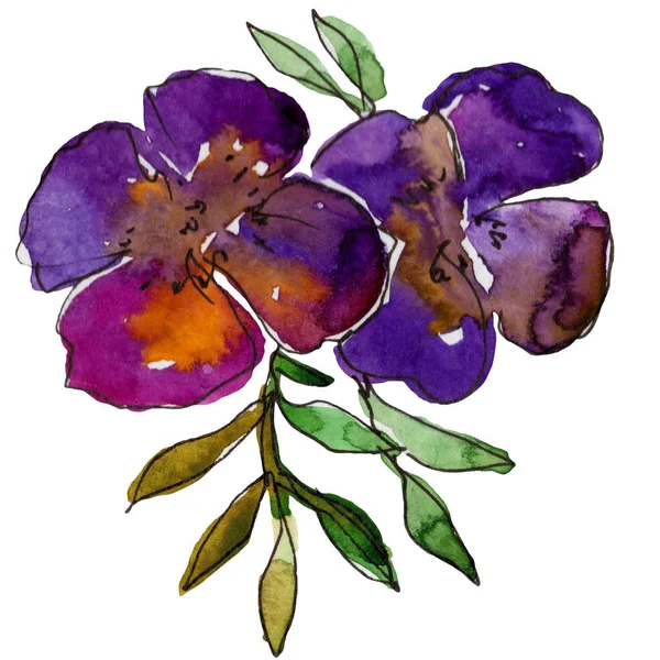 Фиолетовые цветочные ботанические цветы. Набор акварельных фонов. Изолированный цветочный иллюстрационный элемент . — стоковое фото