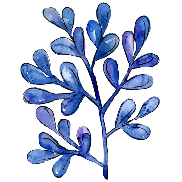 Μπλε υδρόβια υποβρύχια φύση κοραλλιογενή ύφαλο. Σύνολο εικονογράφησης φόντου υδατογραφηματού. — Φωτογραφία Αρχείου