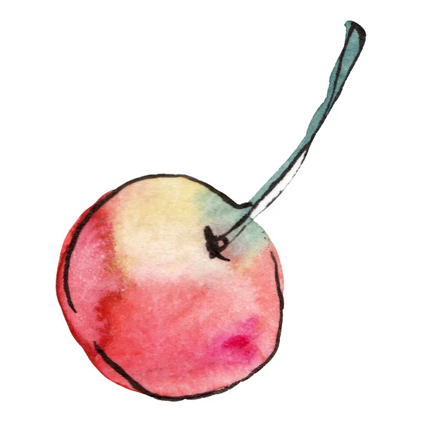 Manzana alimentos saludables. Conjunto de ilustración de fondo acuarela. Elemento de ilustración de manzana aislada . —  Fotos de Stock