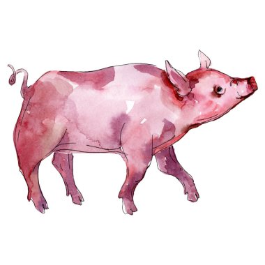 Piglet çiftlik hayvanı izole. Suluboya arka plan illüstrasyon seti. İzole piggie illüstrasyon elemanı.