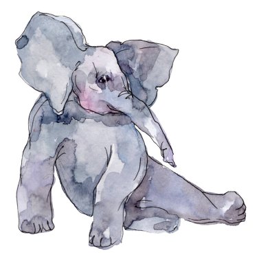 Fil egzotik hayvan izole. Suluboya arka plan illüstrasyon seti. İzole fil illüstrasyon öğesi.