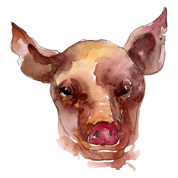 Cabeça de porco animal de fazenda isolado. Conjunto de ilustração de fundo aquarela. Elemento de ilustração isolado para suínos . — Fotografia de Stock