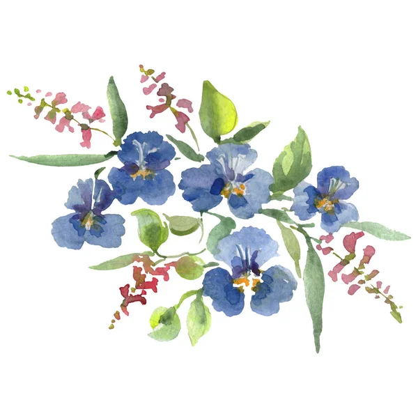 Blumenstrauß botanische Blumen. Aquarell Hintergrundillustration Set. isolierte Blumensträuße Illustrationselement. — Stockfoto