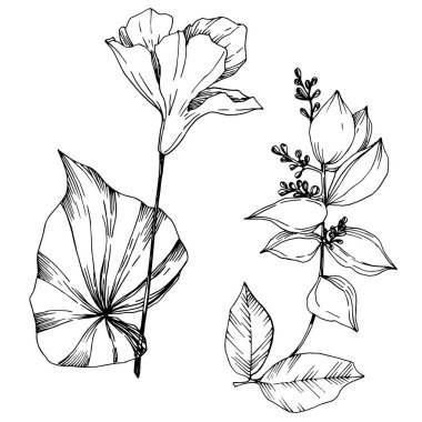 Vektör Tropikal çiçekler ve izole yaprakları. Siyah ve beyaz oyulmuş mürekkep sanatı. İzole bitki illüstrasyon elemanı.